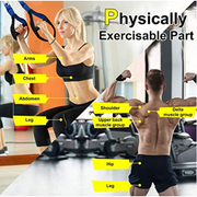 Take your bodyweight suspension workouts to the next level with our PRO3 Suspension Trainer featuring the non-scuff door anchor and extended belt. Our PRO3 Suspension Trainer lets you use your own body weight as a means of resistance for improving endurance and overall strength. Bodyweight exercises, such as those done with the Suspension Trainer, demanding more flexibility and balance than other exercises.
