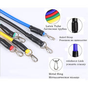 Burn Fat And Build Muscle: 11pcs & 17Pcs Set Resistance Bands and loop bands training is extremely effective at burning fat and increase muscle strength. They also help you increase coordination, boost stamina, flexibility, range of motion, exercise different muscle groups, such as shoulders, arms, legs, butt, etc. Perfect for all fitness levels from beginner to expert.